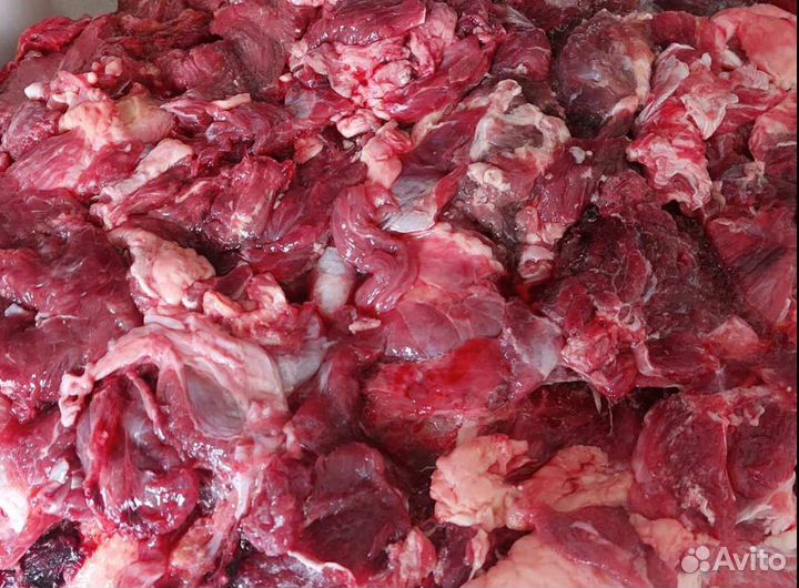 Обрезь говяжья собакам