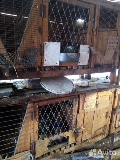 Клетка для кроликов