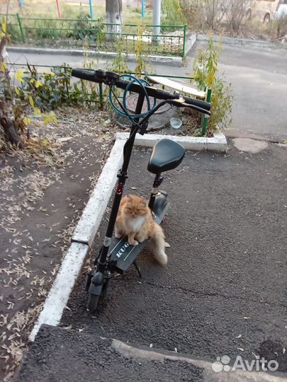 Электросамокат kugoo m2