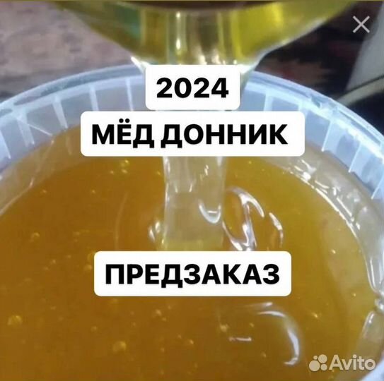 Мед оптом донник