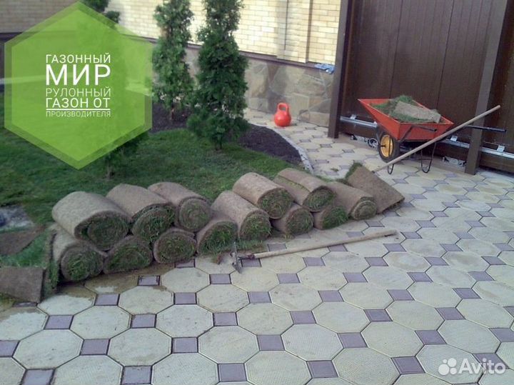 Рулонный газон