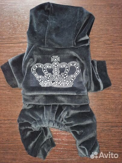 Одежда для маленьких собак