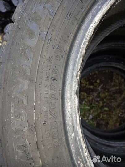 Dunlop Winter Maxx 205/60 R16