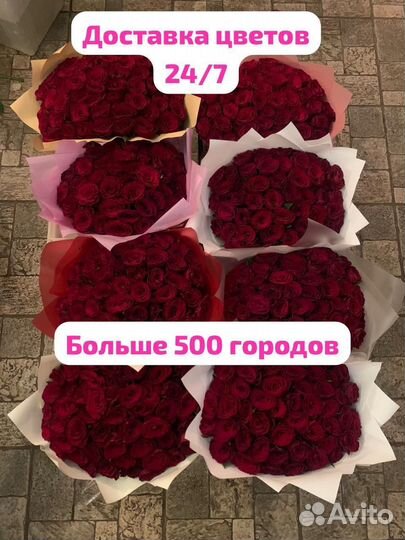 Розы 25/51/101 Анапа