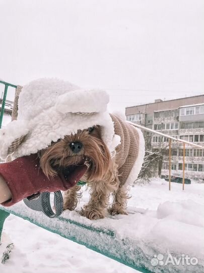 Куртка для собаки зимняя