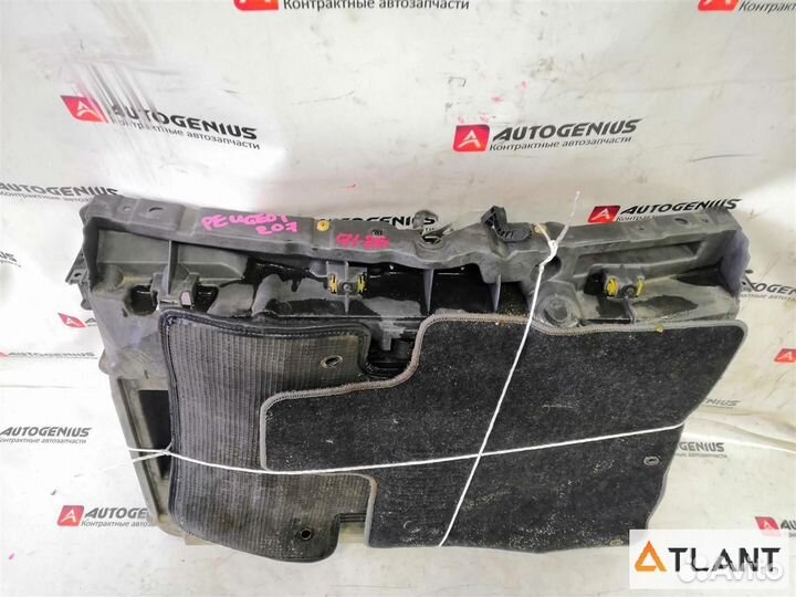 Телевизор передний peugeot 207