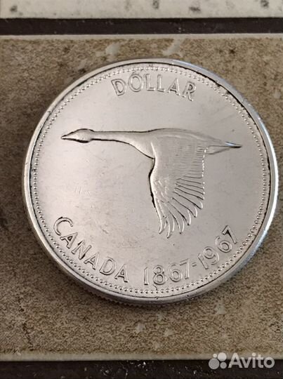 Монеты 1 доллар Канада 1965-1967