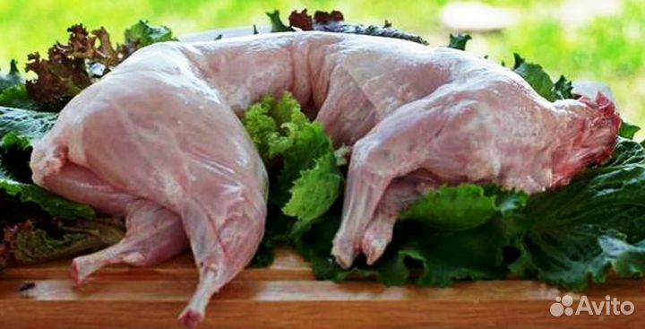 Мясо молодого домашнего кролика