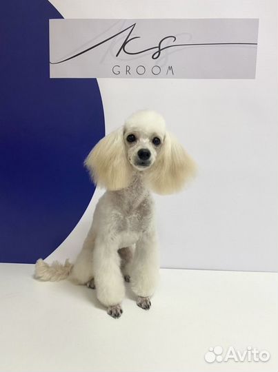 Стрижка животных