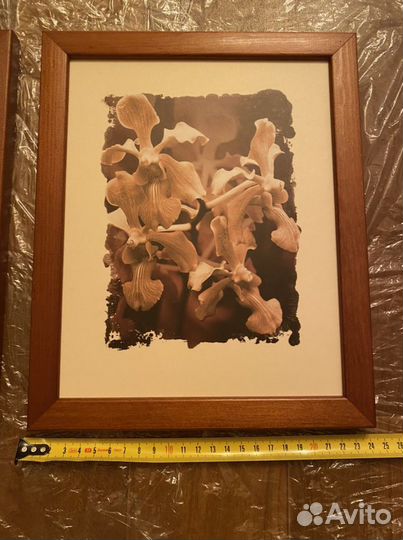 Рамка с постером