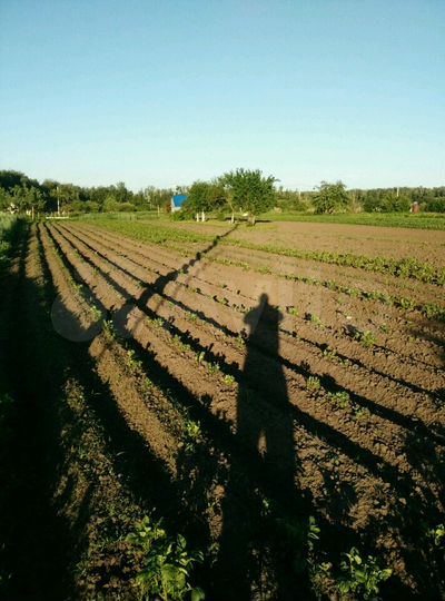 Участок 11 сот. (ИЖС)