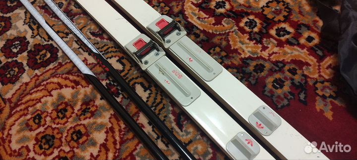 Лыжи беговые Fisher Тиса и Adidas Nord