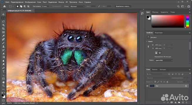 Adobe Photoshop 2022/2023 Бессрочная активация