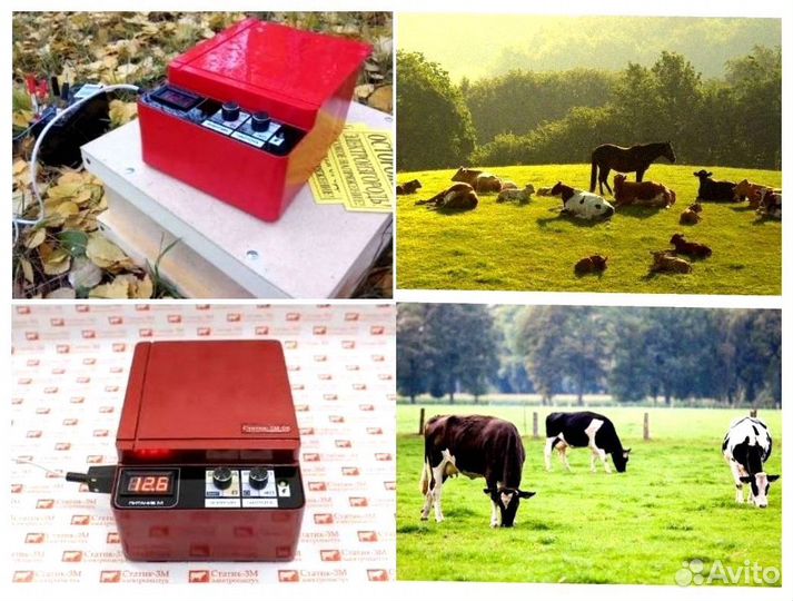 Электропастух