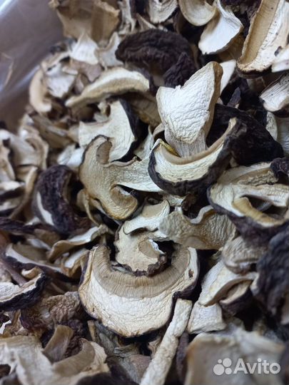 Белые высушенные грибы