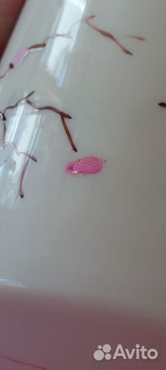 Бисквитница