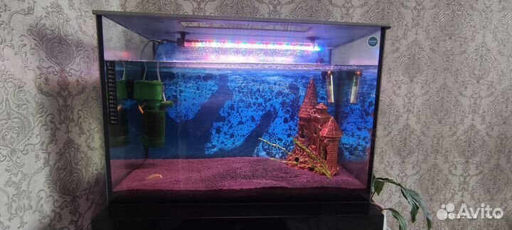 Аквариум с рыбками