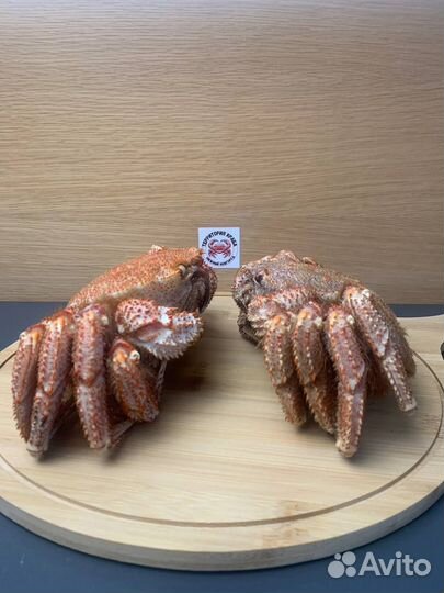 Краб волосатик лучшее качество