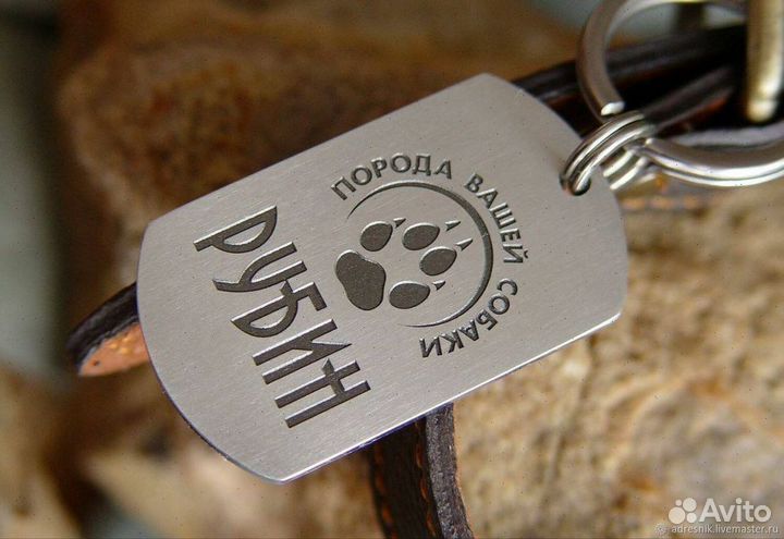 Адресник для собак и кошек