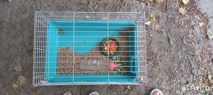 Клетка для грызунов бу
