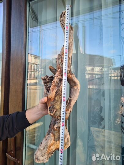 Дрифтвуд коряга