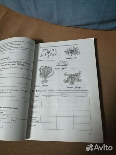 Рабочая тетрадь по биологии 7 класс Латюшин