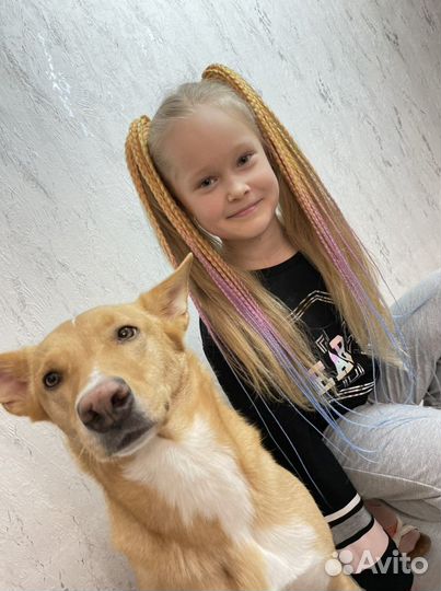 Афрорезинки, съёмный хвост, шиньон