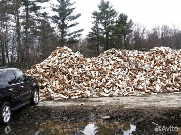 Дрова 35 см