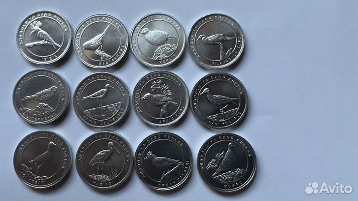 Турция 1 куруш 2020 Анталийские птицы 12 монет