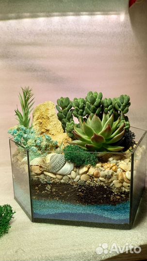 Флорариум-сердце