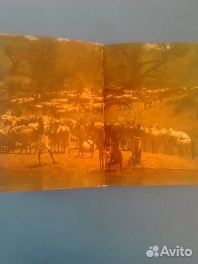 Йозеф Вагнер, Сафари под Килиманджаро, чсср