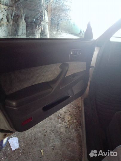 Виста в разбор