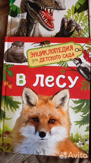 Детские книги и энциклопедии