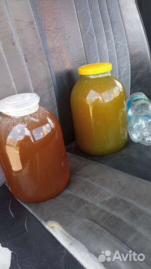 Мёд с личной пасеки