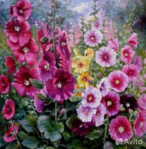 Семена Мальвы