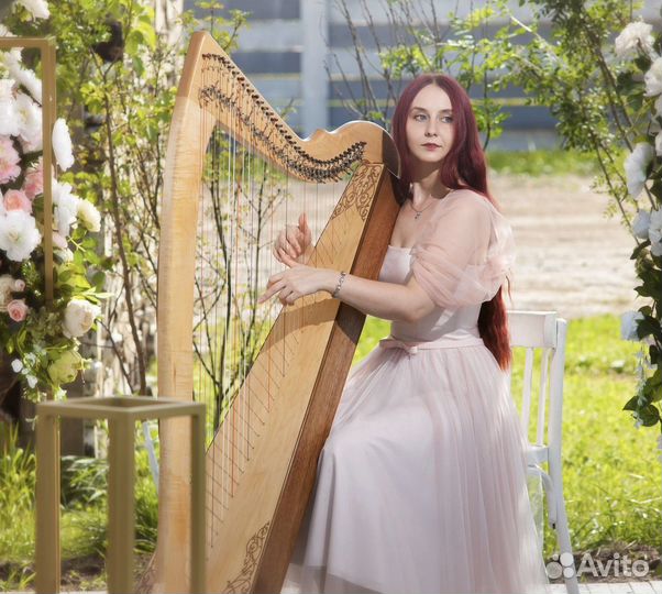 Арфа, живая музыка на праздник