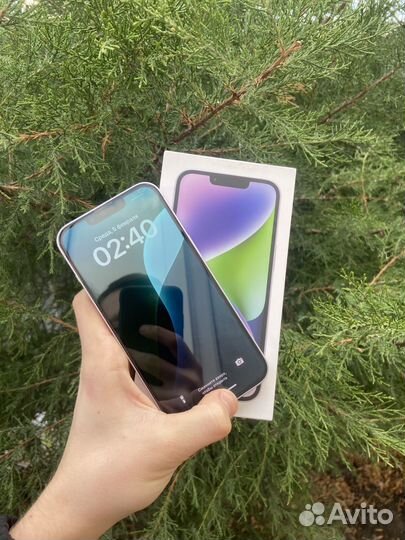 iPhone 14, 256 ГБ