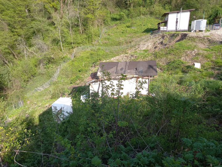 Участок 13,6 сот. (СНТ, ДНП)