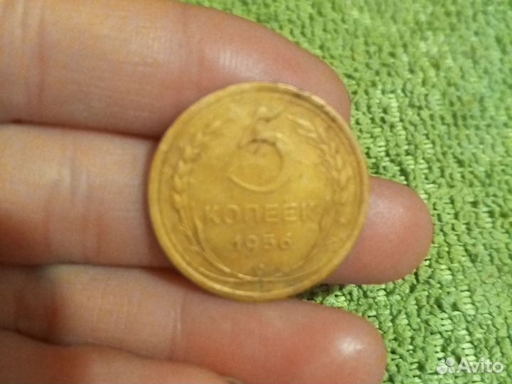 5 копеек СССР 1956 года