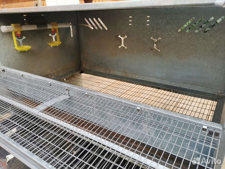 Клетки для кур несушек Crazy Ferma