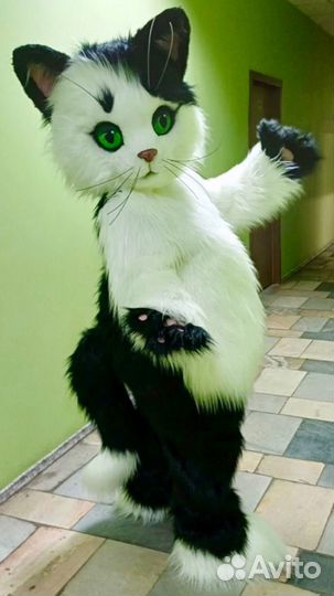 Ростовые куклы Кот и Кошечка. Поздравление