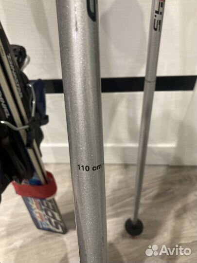 Горные лыжи