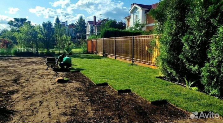 Укладка и продажа газона