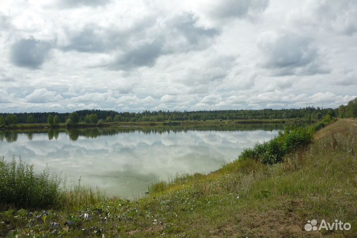 Рыбное хозяйство
