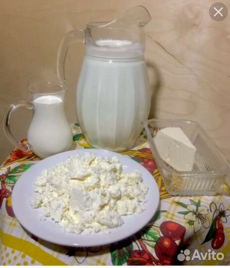 Козье молоко, сыр, масло