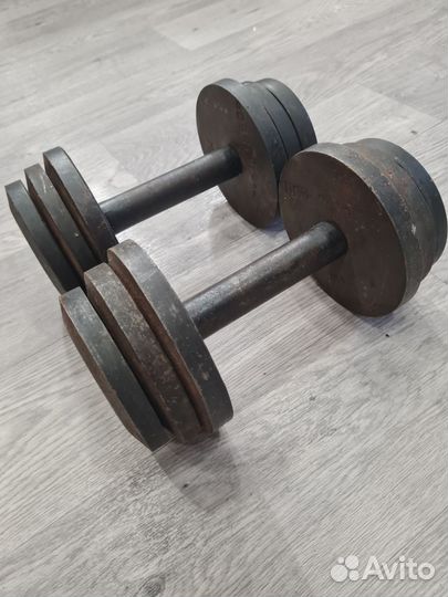 Гантели разборные 10 кг