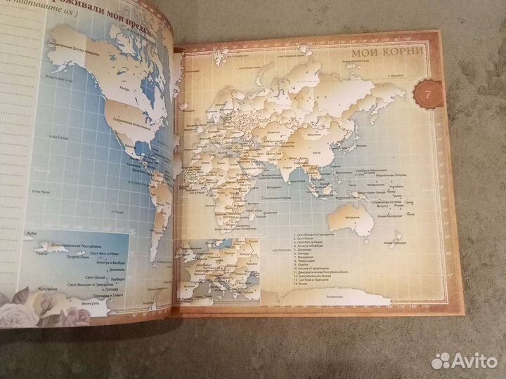 Родовая книга, новая