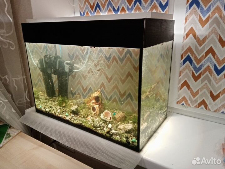 Аквариум 50 л с рыбками и принадлежностями
