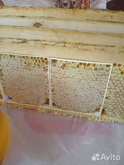 Продам мед 2023