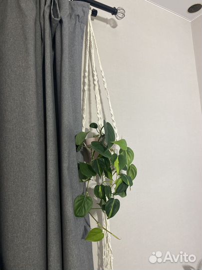 Подвесное кашпо для цветов макраме